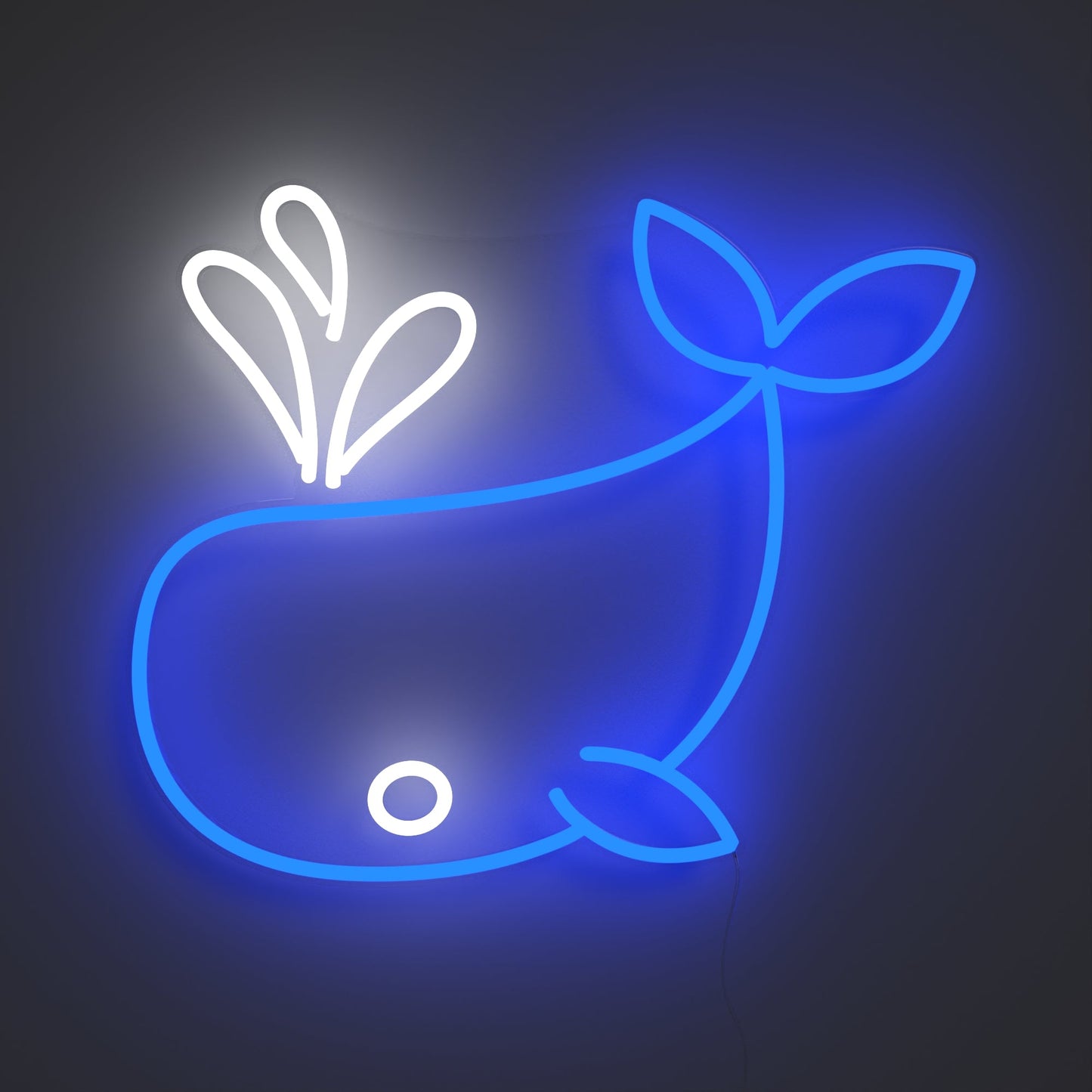 Balina Neon Tabela